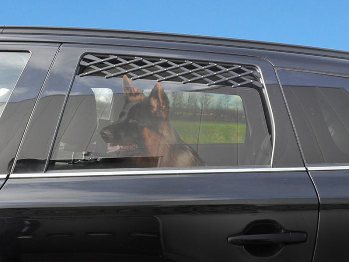 ProPlus grille de ventilation pour vitre de voiture