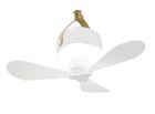 Lifetime Air ventilateur sans fil avec sangle de suspension