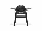Weber Q 1200N Stand barbecue à gaz