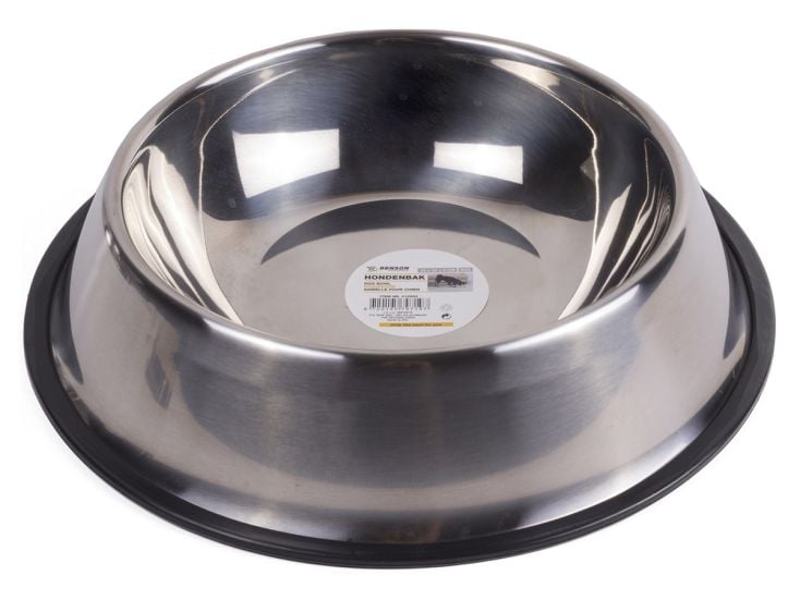 Gamelle pour chien Benson 25 x 20 x 6 cm en acier inoxydable