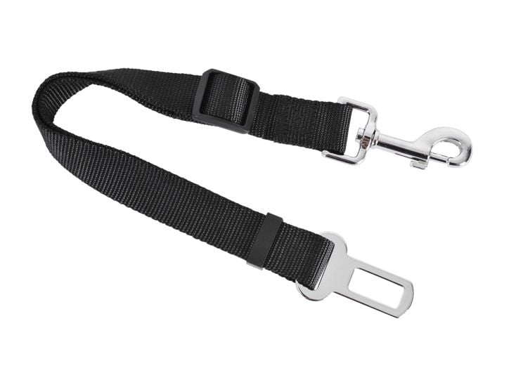 Obelink ceinture sécurité chien réglable