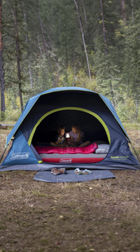 Offre irrésistible !